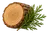 Cedr