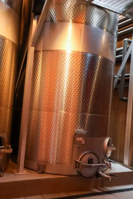 wine fermentation