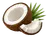Kokos