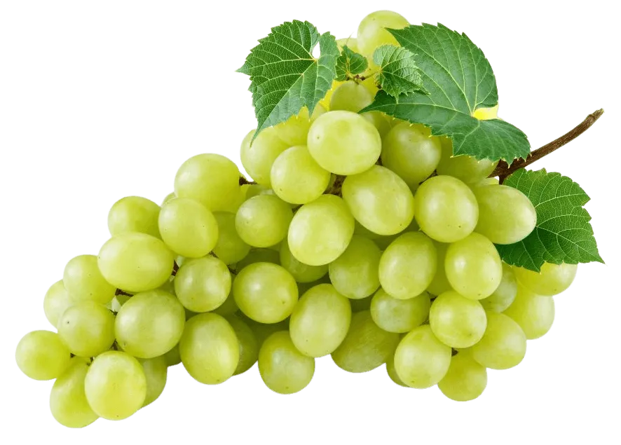 Merseguera