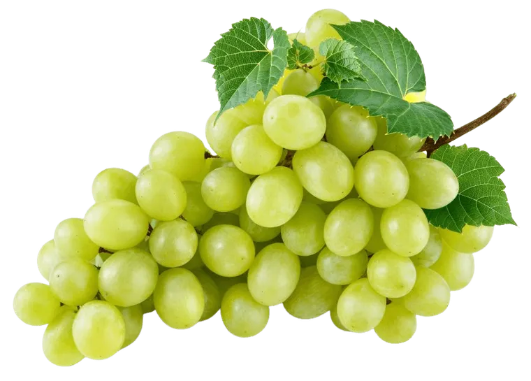 merseguera