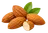 Migdały