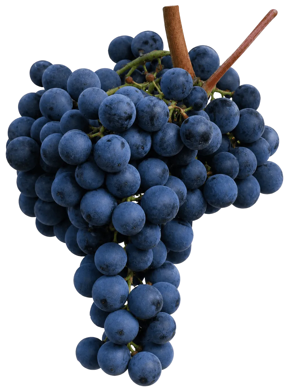 Monastrell