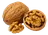 Orzech włoski